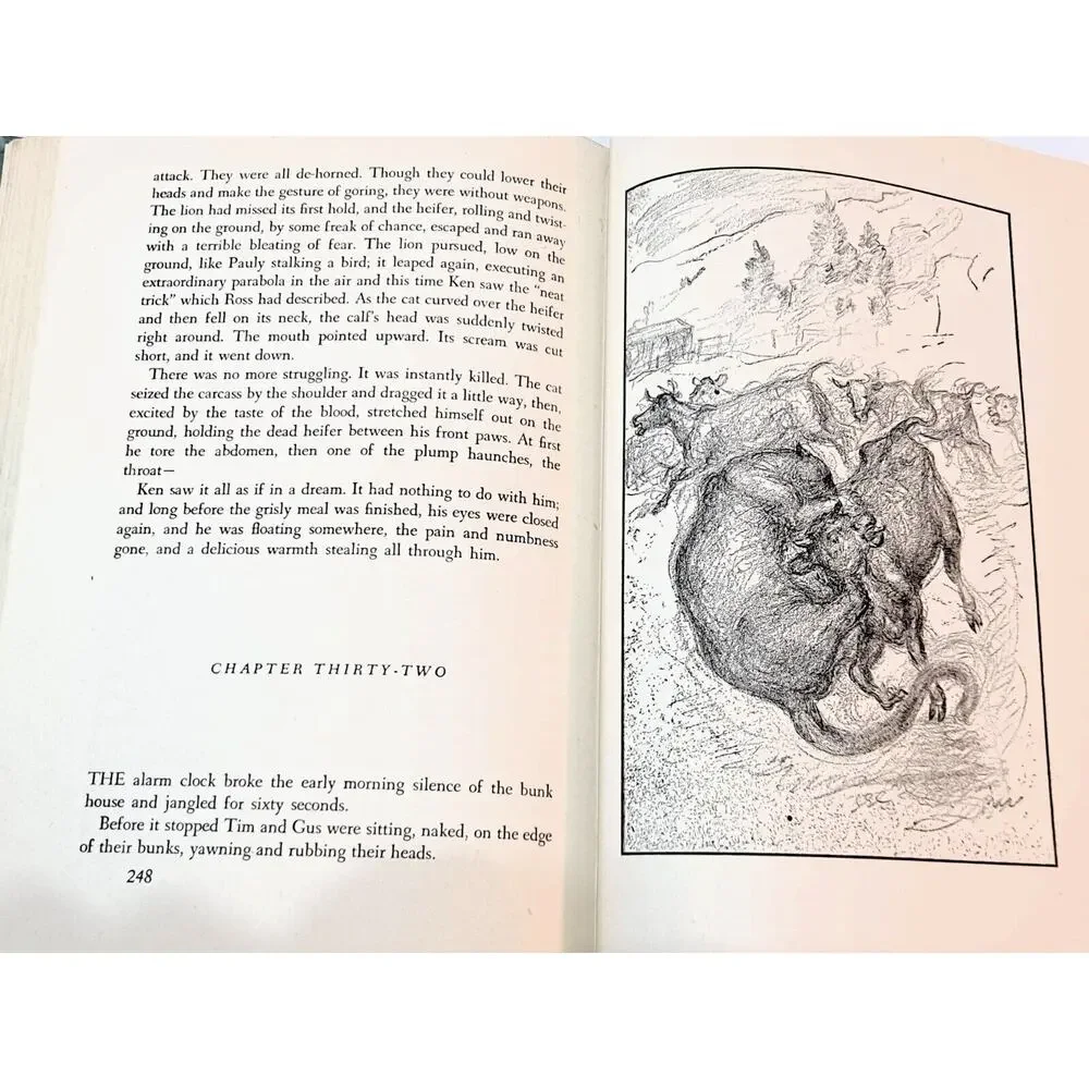 My Friend Flicka by Mary O'Hare (1941 Hardcover w/o DJ)
